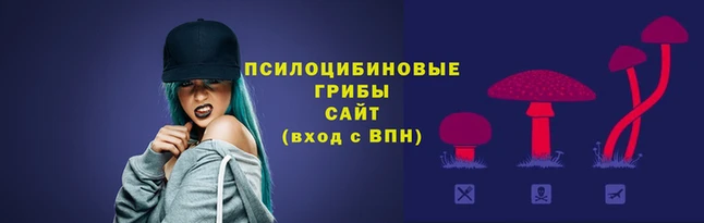 соль курить ск Алзамай