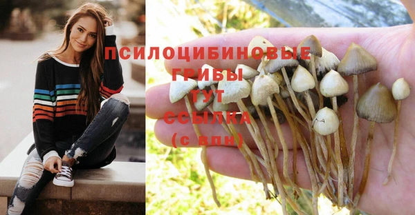 прущие крисы Алексеевка