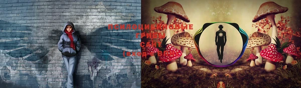 прущие крисы Алексеевка
