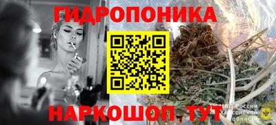 шишки Владивосток