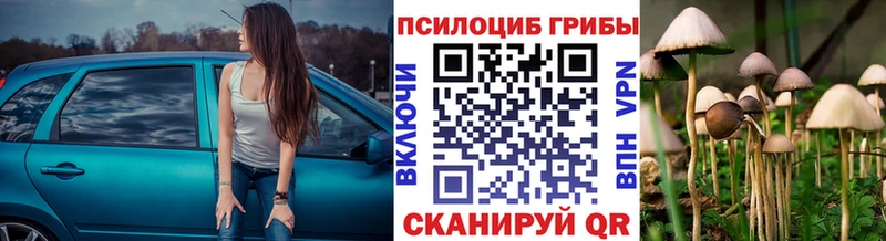 Галлюциногенные грибы мухоморы  это наркотические препараты  Заинск 