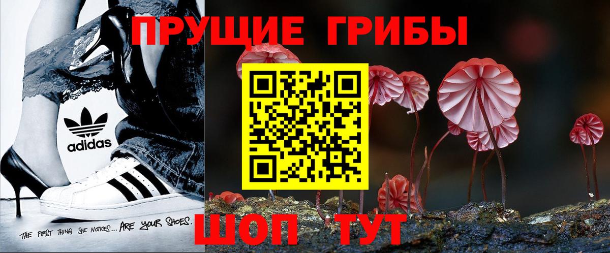 Псилоцибиновые грибы ЛСД Заинск